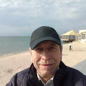 Алекс, 71 год, Ростов-на-Дону