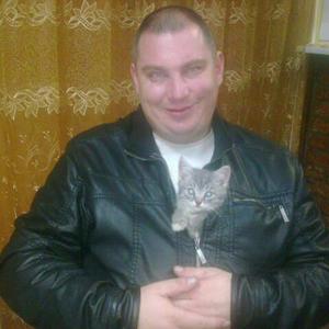 Алексей Алёшкин, 46 лет, Ярославль