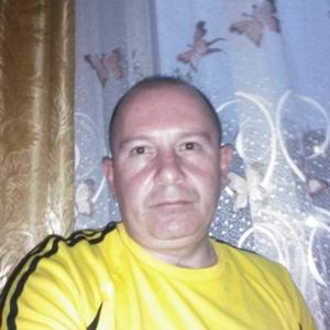 Олег, 51 год, Губкин