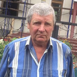 Александр, 66 лет, Тула