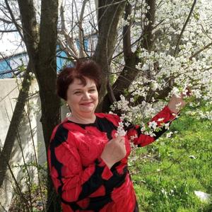 Нина Христосова, 64 года, Московское