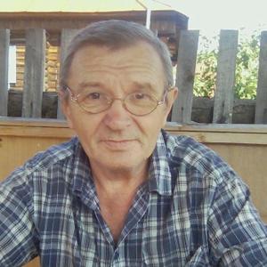 Влад, 68 лет, Нижний Новгород