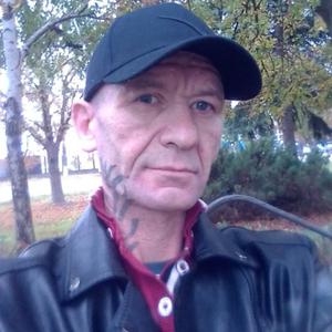 Александр Владимирович, 44 года, Краснодарский