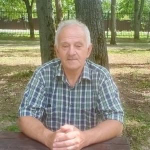 Владимир, 72 года, Москва