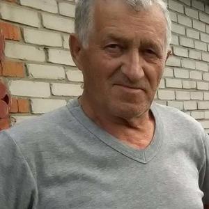 Геннадий, 73 года, Новосибирск