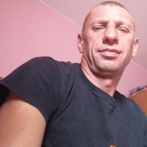 Michał, 42 года, Bydgoszcz