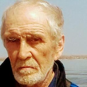 Анатолий, 66 лет, Михайловка