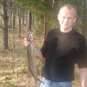 Василий, 42 года, Коряжма