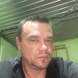 Дмитрий, 48 лет, Писцово