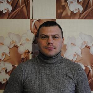 Илюхин Сергей, 43 года, Шварцевский