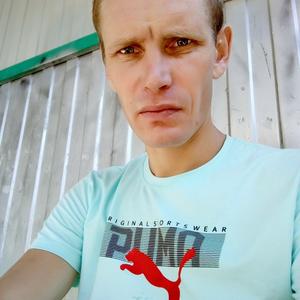 Саша, 39 лет, Барнаул