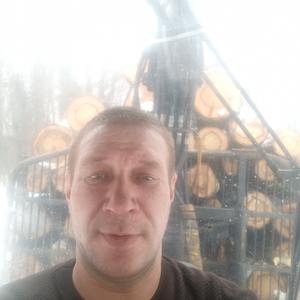Евгений, 43 года, Петрозаводск