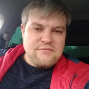 Алексей, 38 лет, Вурнары