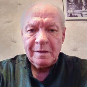 Виктор, 71 год, Великий Новгород