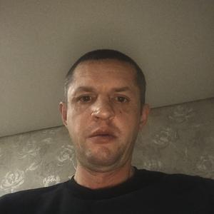 Дмитрий Торопов, 45 лет, Васильево