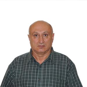 Davit Tadevosyan, 73 года, Москва
