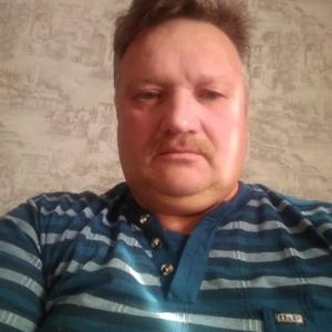 Александр Денисенко, 58 лет, Старый Оскол