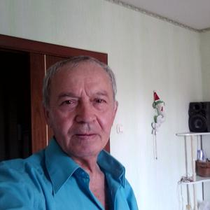 Тимерьян, 74 года, Москва