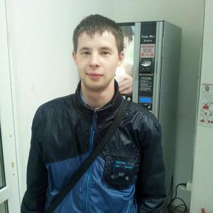 Миша, 31 год, Ярославль