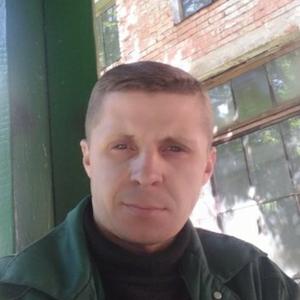 Sereja Busnuk, 40 лет, Кобрин