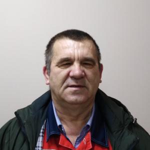 Владимир, 66 лет, Краснокамск
