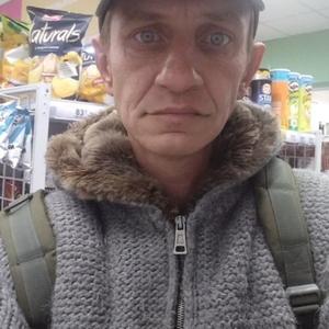 Александр, 42 года, Курск