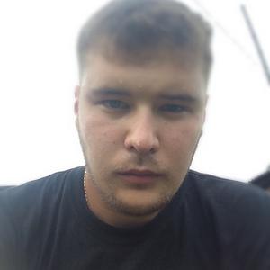 Дмитрий , 29 лет, Саранск