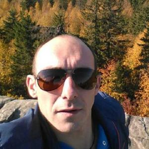 Дмитрий, 44 года, Качканар