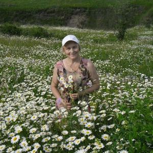 Валентина, 68 лет, Белгород