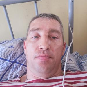 Андрей, 43 года, Новочеркасск