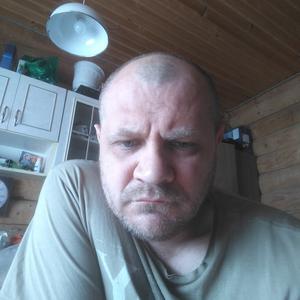 Дмитрий, 45 лет, Киров