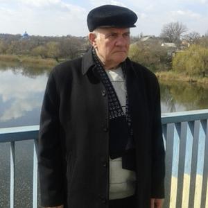Григорий, 79 лет, Ростов-на-Дону