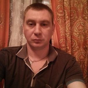 Александр Сумароков, 39 лет, Светлый