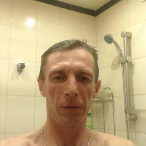Дмитрий, 46 лет, Углегорск