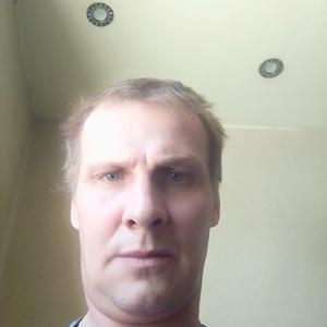 Дмитрий, 43 года, Нерехта