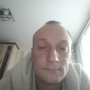 Лис, 38 лет, Ярославль