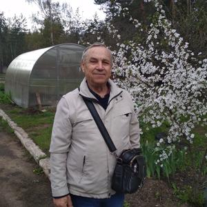 Николай, 78 лет, Воронеж