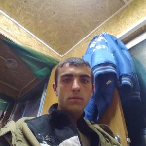 Парни в Рубцовске: Дмитрий, 29 - ищет девушку из Рубцовска