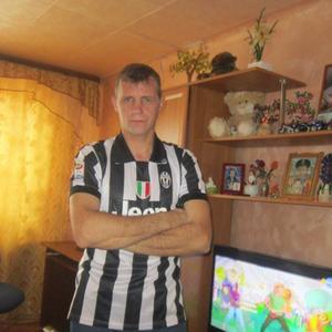 Сергей, 46 лет, Дорогобуж