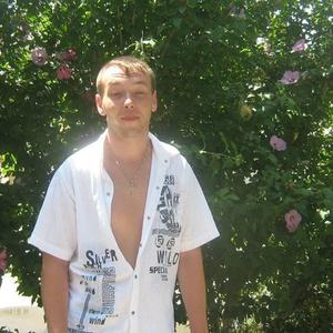 Андрей, 38 лет, Серпухов
