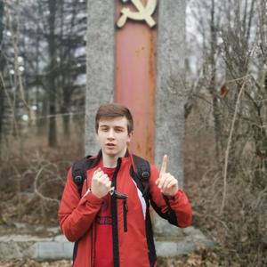 Владислав, 20 лет, Новомосковск