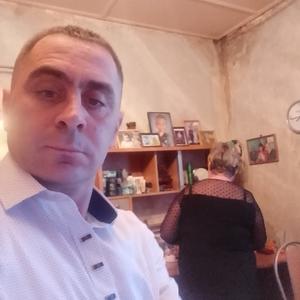 Владимир, 44 года, Чехов
