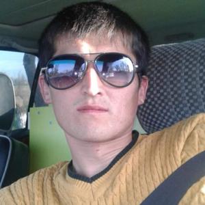 Расул, 34 года, Бишкек