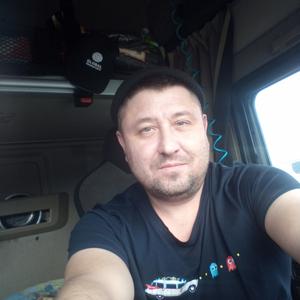 Димон, 46 лет, Краснодонский