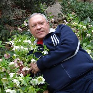 Сергей, 68 лет, Астрахань