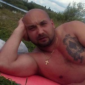 Александр, 41 год, Донской