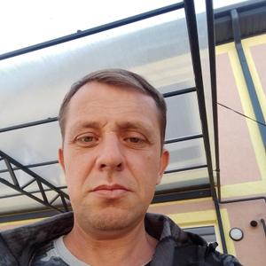 Алексей, 44 года, Ставрополь