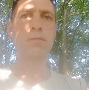 Aleksej, 43 года, Тула