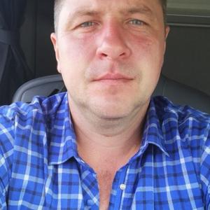 Юрий, 44 года, Волковыск