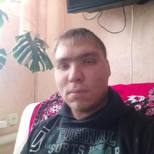 Миша, 29 лет, Ростов-на-Дону
